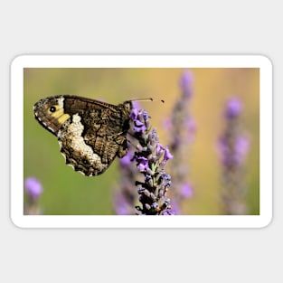 The Grayling Sticker